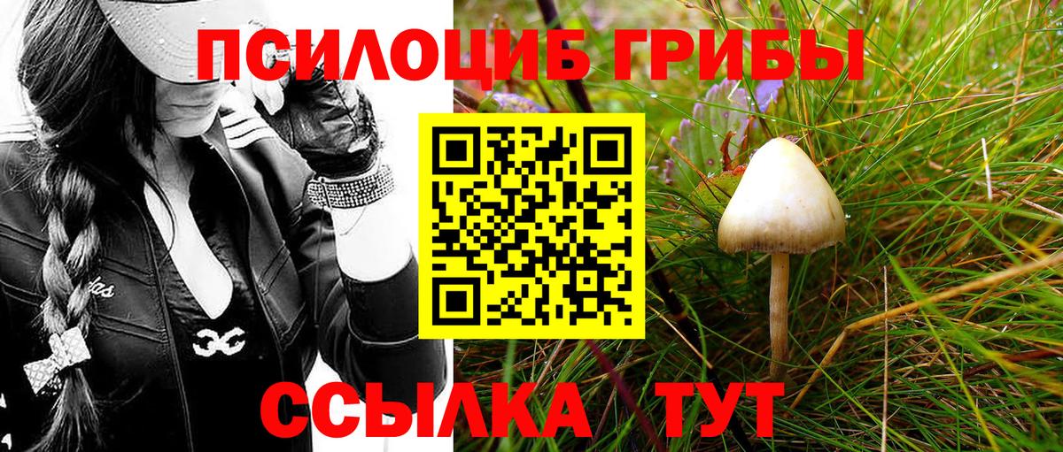 Галлюциногенные грибы ЛСД Сальск