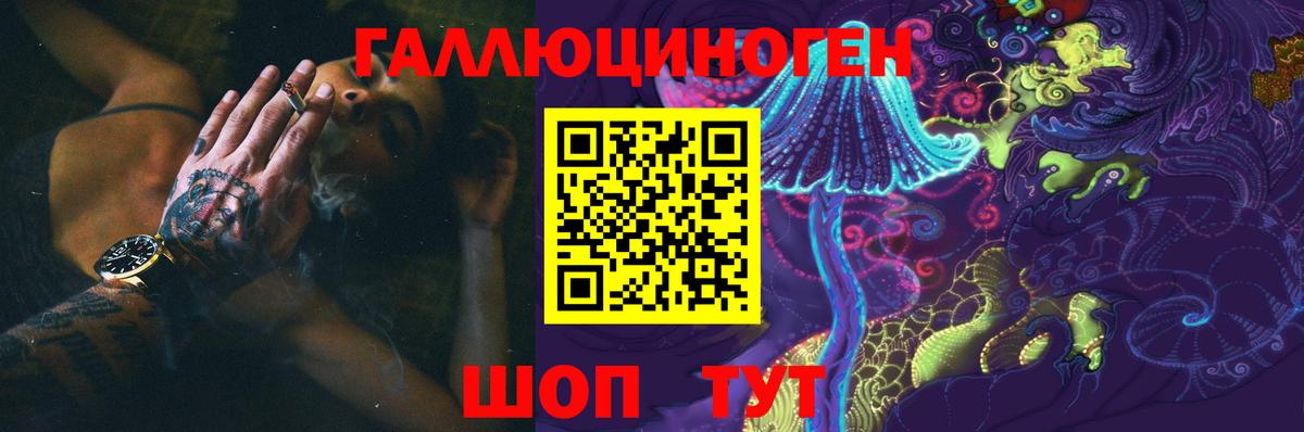 Галлюциногенные грибы GOLDEN TEACHER  Псилоцибиновые грибы Psilocybine cubensis  закладки  Сальск  Вход с VPN 
