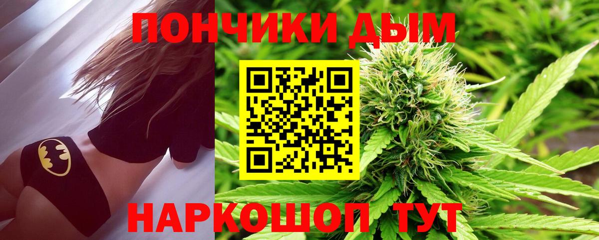 Шишки марихуана планчик  Марихуана сатива  Вход с VPN  Сальск 